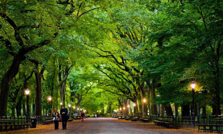 秋意正浓，带你逛逛这些曼哈顿最美的公园！