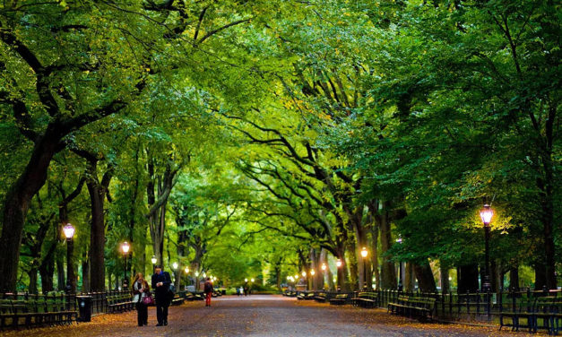 秋意正浓，带你逛逛这些曼哈顿最美的公园！