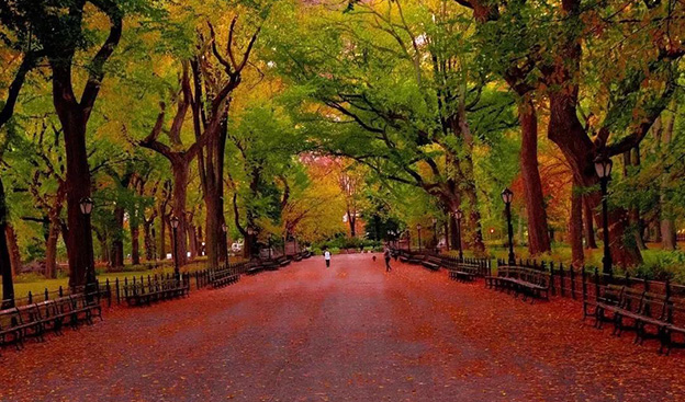 纽约赏秋指南 | 秋日童话就在这12处景点
