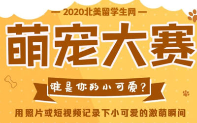 投票开启 | 纽约留学生网“你的小可爱”线上晒萌宠大赛复赛名单公布,快来给你的娃投票吧!