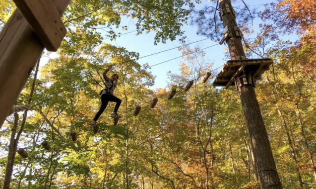 【新活动报名】这个初秋要不要来一场林中爬树探险呢！
