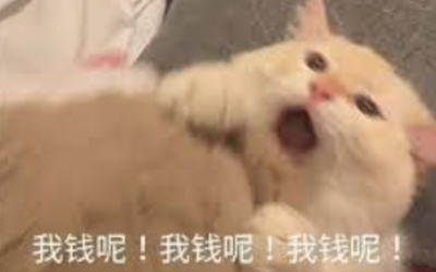 注意！Chase可能已清空你账户：大量用户被双倍扣款，你有没有中招！