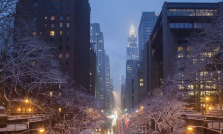 纽约初雪已至，气温暴跌，多州强降雪停课…