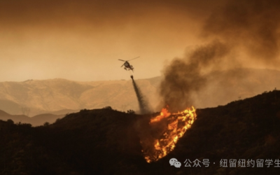 大火后的洛杉矶还能去吗？￼￼￼￼