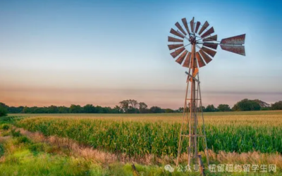 纽约春日出逃！宾州本周六Old Windmill农场早春踏青专车发车！￼￼￼￼